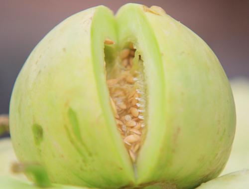 Bí quyết chọn dưa hấu, dưa lê ngon ngọt chín tự nhiên không tiêm thuốc-2