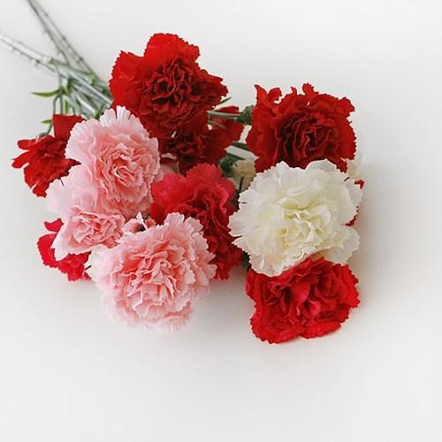 Tử vi thứ Năm ngày 2/5/2019 của 12 con giáp: Mùi tài lộc ngập nhà, Dậu đề phòng thị phi-4