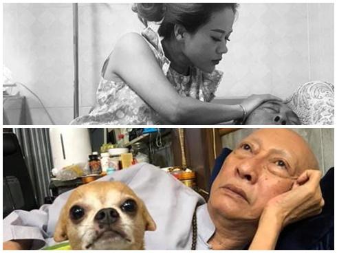 Nghệ sĩ Lê Bình và giọt nước mắt những ngày cuối đời-2