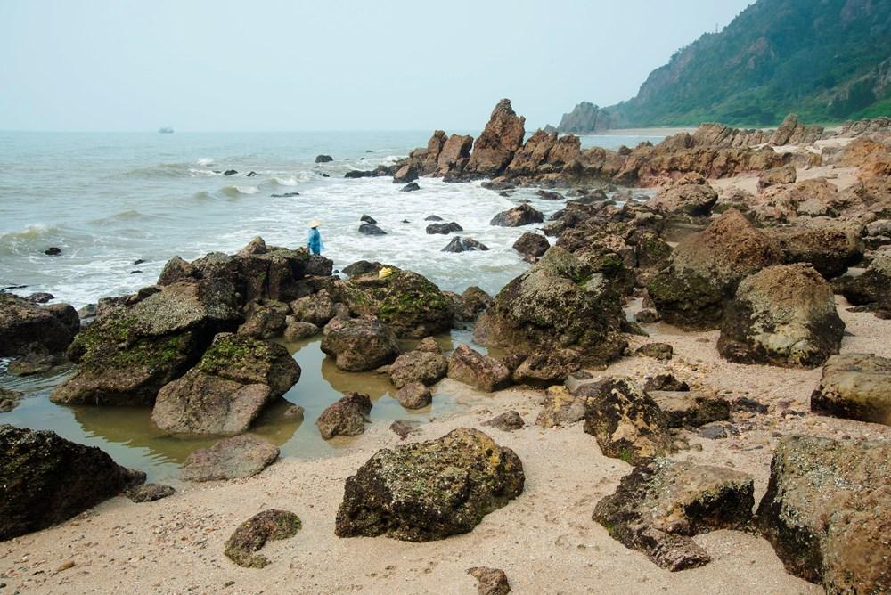 Đặc sản rau cạo Nghệ An nhìn ghê ghê: Ăn 1 lại muốn ăn 2-1