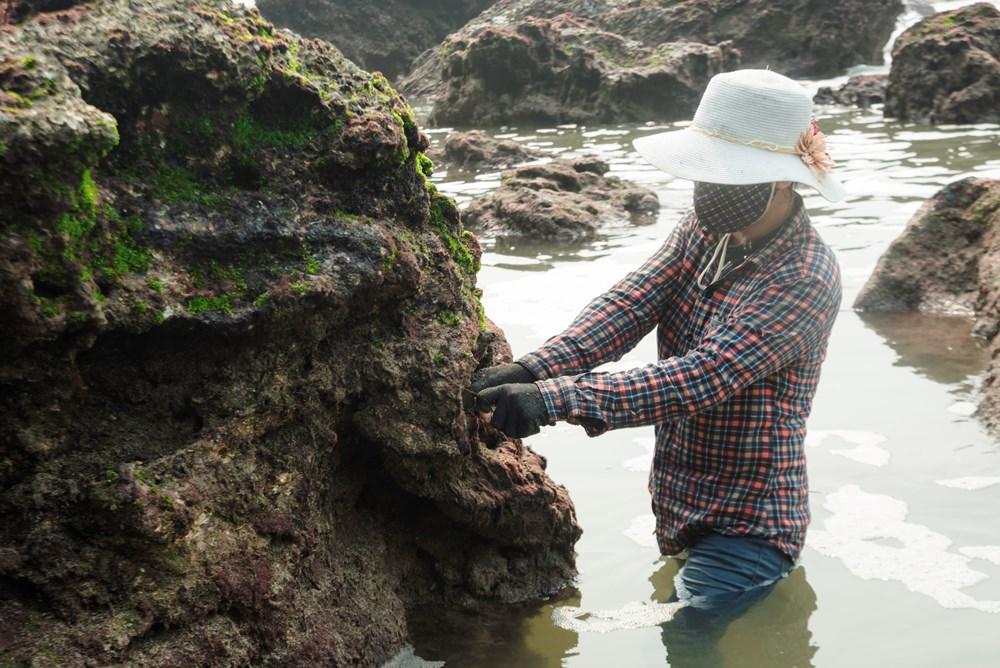 Đặc sản rau cạo Nghệ An nhìn ghê ghê: Ăn 1 lại muốn ăn 2-3