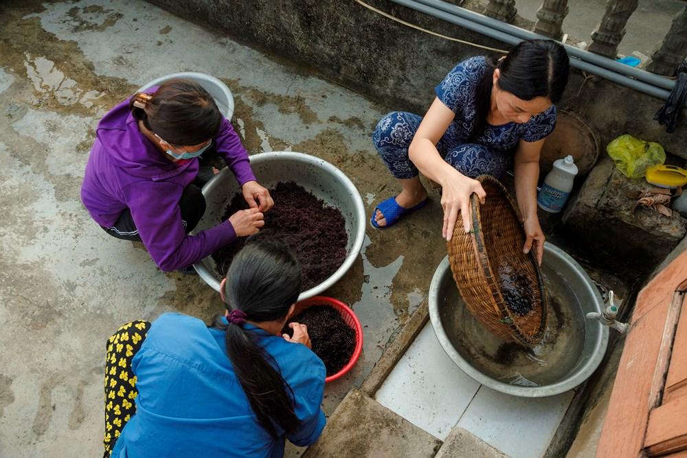 Đặc sản rau cạo Nghệ An nhìn ghê ghê: Ăn 1 lại muốn ăn 2-5