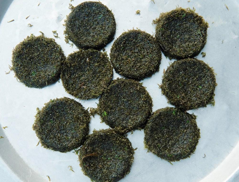 Đặc sản rau cạo Nghệ An nhìn ghê ghê: Ăn 1 lại muốn ăn 2-7