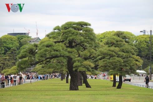 Khám phá vẻ đẹp Hoàng cung Nhật Bản trong ngày trọng đại của đất nước-1