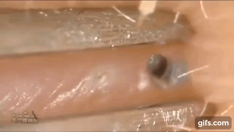 Bích Phương tiết lộ sở thích biến thái thế mà fan lại đua nhau hưởng ứng rầm rầm-3