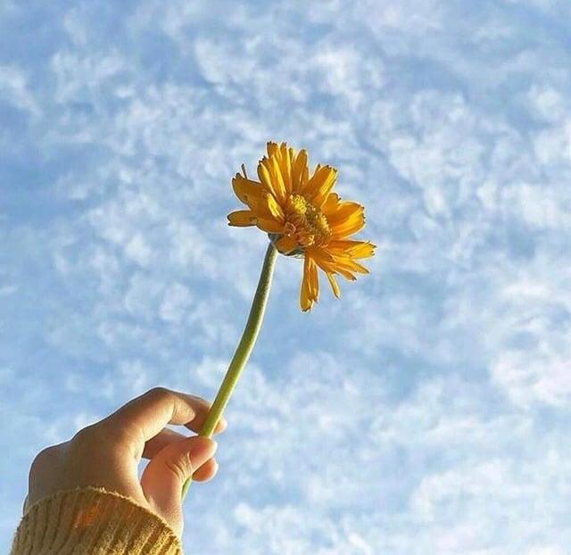 Tử vi thứ Sáu ngày 3/5/2019 của 12 con giáp: Thân mệt mỏi vì công việc, Tuất nên chủ động yêu đương-2