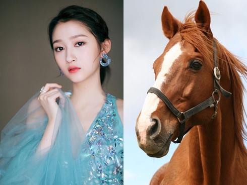 3 con giáp tắm trong biển tiền, vàng bạc ngập két cuối năm Kỷ Hợi