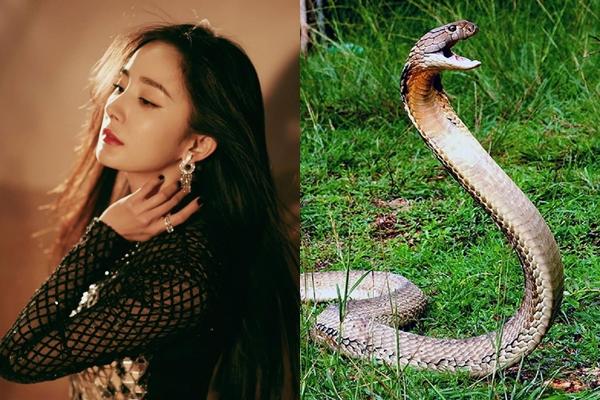 7 ngày tới: 3 con giáp hưởng trọn lộc trời, tiền chất thành núi, giàu sang tột đỉnh-2