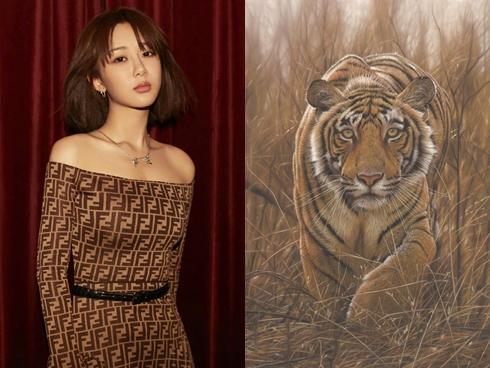 7 ngày tới: 3 con giáp cẩn thận vận xui ập tới, tiền mất tật mang, đau ốm liên miên-4