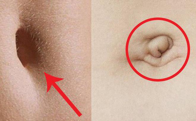 Thầy xem tướng tiết lộ: Nhìn rốn 3 giây biết ngay số phận sang hèn, không cần tốn tiền đi xem bói-2