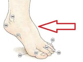 Vị trí nốt ruồi CỰC HÚT TÀI LỘC của 12 con giáp, làm gì cũng giàu, chớ dại tẩy đi mà thiệt-2