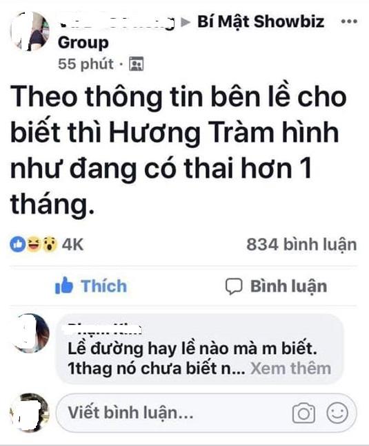 Hương Tràm giải nghệ đi du học vì mang thai và sự thật về câu chuyện không trách cũng chẳng buồn giải thích-2