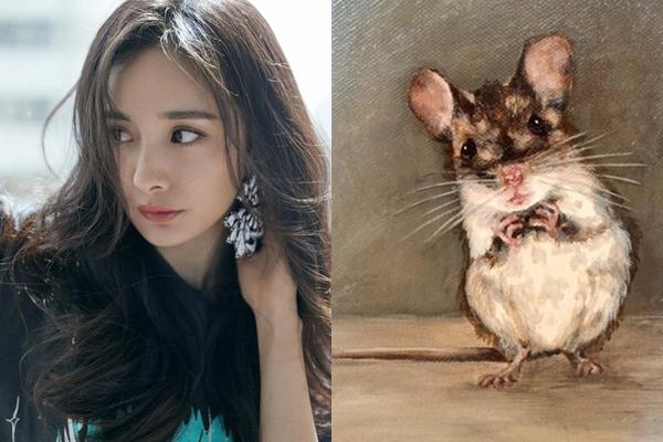 3 con giáp khổ trước sướng sau, hậu vận an nhàn, tiền bạc chất đống-1