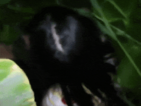 Cãi nhau với người yêu, cô gái 'cả giận mất khôn' ngồi ngâm mình trong đầm nước giữa đêm khuya