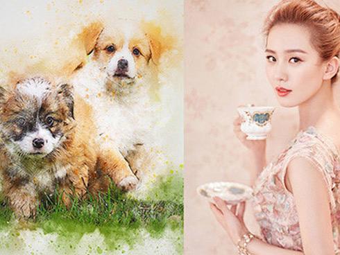 Làm ít nhưng 3 con giáp này có số thành đại gia kiếm bạc tỷ trong năm 2019