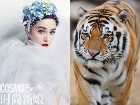 Cuối tuần này: 3 con giáp đếm tiền mỏi tay nhờ vận may trúng lớn-4