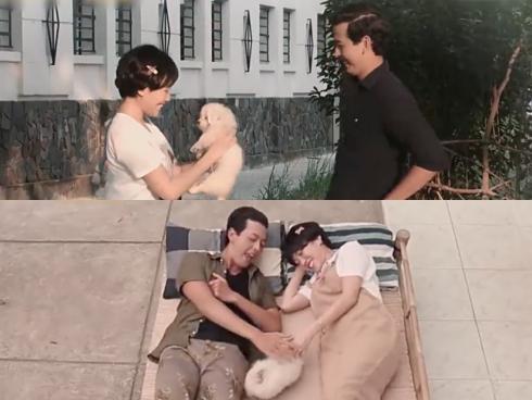 Vì thích chó, Diệu Nhi vô tình 'sập bẫy' tán tỉnh của trai đẹp