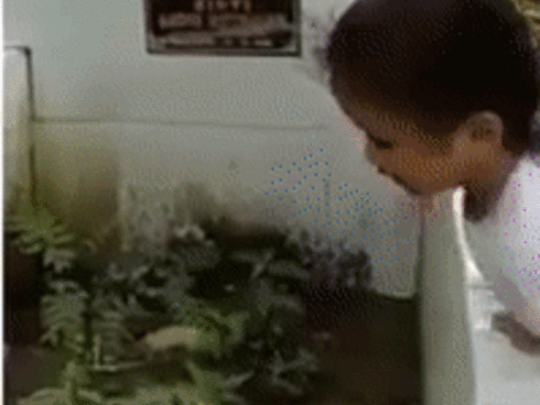 Dàn hot girl nhan sắc nổi bật hoá ra đều được thừa hưởng từ mẹ-10