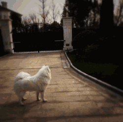 Gia thế khủng của bạn gái tin đồn Dương Dương: Sống trong biệt thự nghìn tỷ, mua sắm toàn hàng hiệu-3