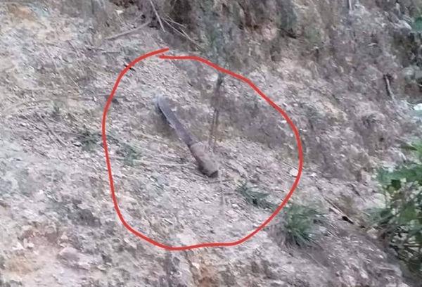 Lời khai lạnh lùng ‘thích thì giết thôi’ của nghi phạm sát hại người phụ nữ đơn thân lúc rạng sáng-2