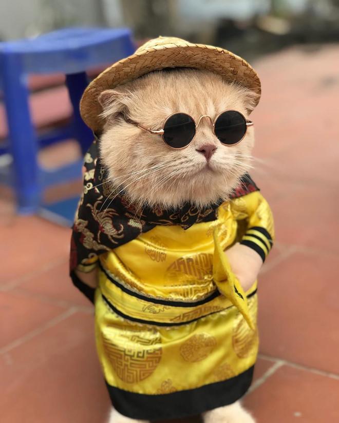 Chú mèo tên Chó lại gây cười khi hóa thân thành anh hùng Avengers-3