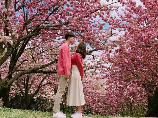 Tử vi Thứ ba ngày 14/5/2019 của 12 cung hoàng đạo: Sư Tử bị đồng nghiệp hãm hại,  Bảo Bình thận trọng trong vấn đề tài chính