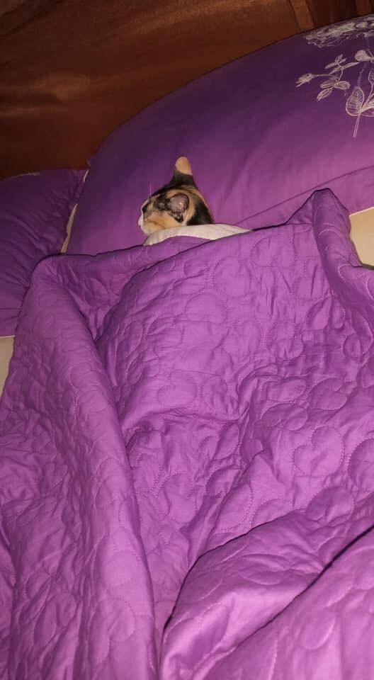 Vợ bất lực nhìn chồng ngủ với kẻ thứ ba nhưng khi bồ nhí lộ diện thì ai cũng phì cười-2