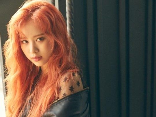 Tử vi tuần mới của 12 con giáp từ 13/5/2019 - 19/5/2019: Ngọ ngập tràn cô đơn, Thân xung đột trong công việc