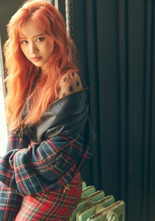 Tử vi tuần mới của 12 con giáp từ 13/5/2019 - 19/5/2019: Ngọ ngập tràn cô đơn, Thân xung đột trong công việc-1