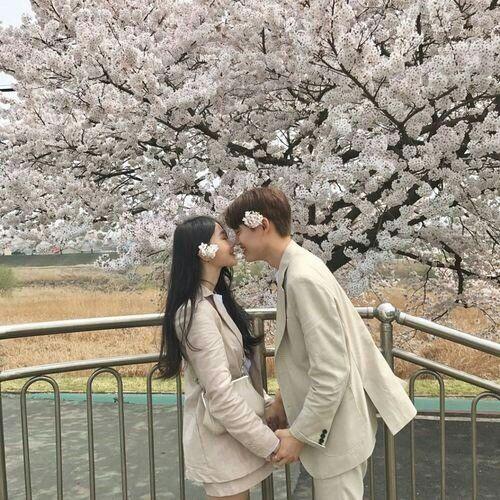 Tử vi tuần mới từ 13/5/2019 đến 19/5/2019 của 12 cung hoàng đạo: Kim Ngưu sa sút, Bảo Bình gặp rắc rối-1