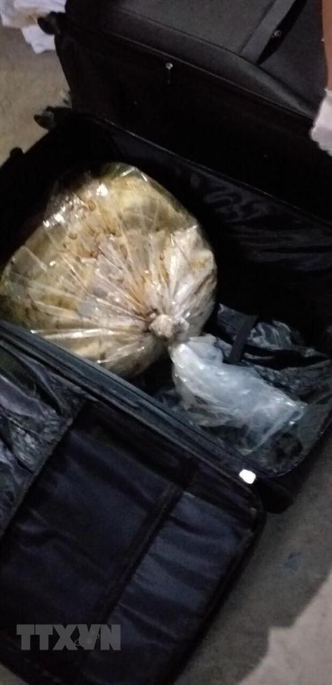 Hình ảnh vụ bắt nhóm người nước ngoài vận chuyển 500kg ma túy-8