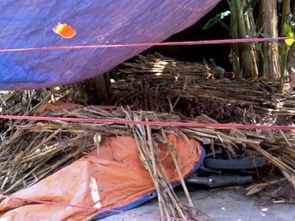 Nghi vợ có bồ, chồng gây án mạng trong bệnh viện-2