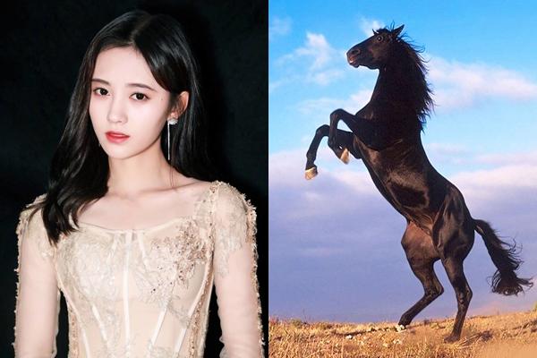 Giữa tháng 5 dương lịch: 3 con giáp đề phòng tai ương, hao tài tốn của, rước họa vào thân-3