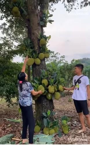 Khoe nhà ở quê rộng cả chục hecta, Mạc Văn Khoa khiến người hâm mộ xuýt xoa: Đại gia đất là đây chứ đâu-6