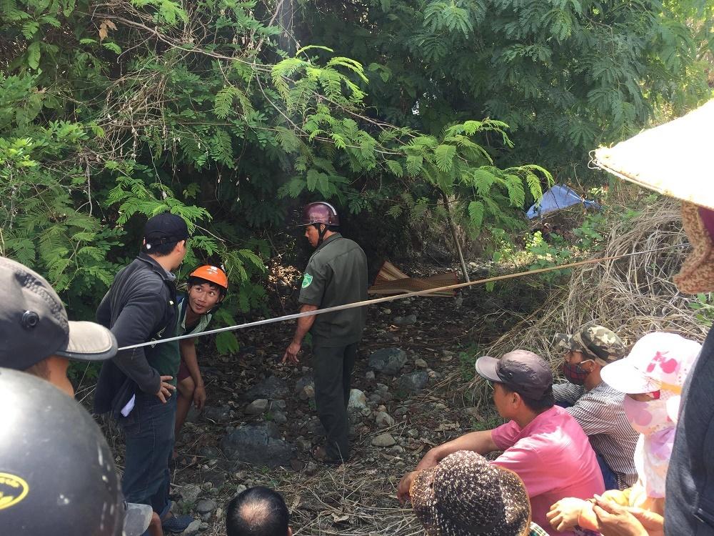 Bé 2 tuổi mất tích được tìm thấy nhờ chú chó dẫn đường-1