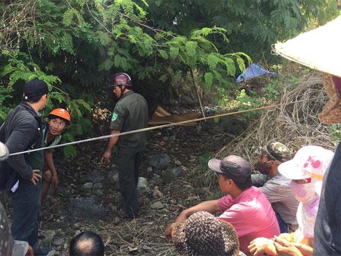 Bé 2 tuổi mất tích được tìm thấy nhờ chú chó dẫn đường