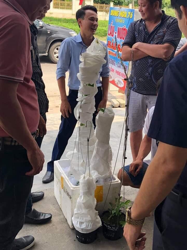 Tiết lộ của đại gia Hà Tĩnh ra Hải Phòng mua 2 chậu lan 3,5 tỷ-3