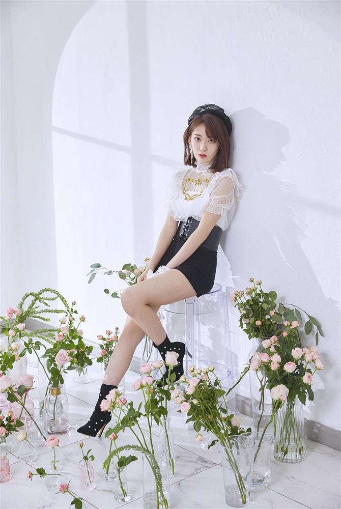 Tử vi thứ Năm ngày 16/5/2019 của 12 con giáp: Sửu bất ổn tình cảm, Thìn quý nhân phù trợ-1