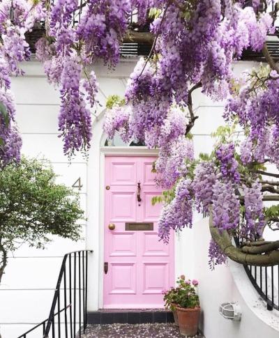 Tử vi thứ Năm ngày 16/5/2019 của 12 con giáp: Sửu bất ổn tình cảm, Thìn quý nhân phù trợ-4