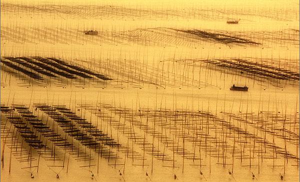 Những kiệt tác thiên nhiên khiến du khách đứng hình tại Phúc Kiến-5