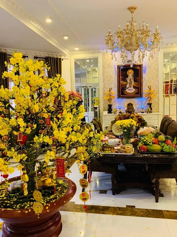 Gia tài biệt thự, siêu xe của Lệ Quyên-10