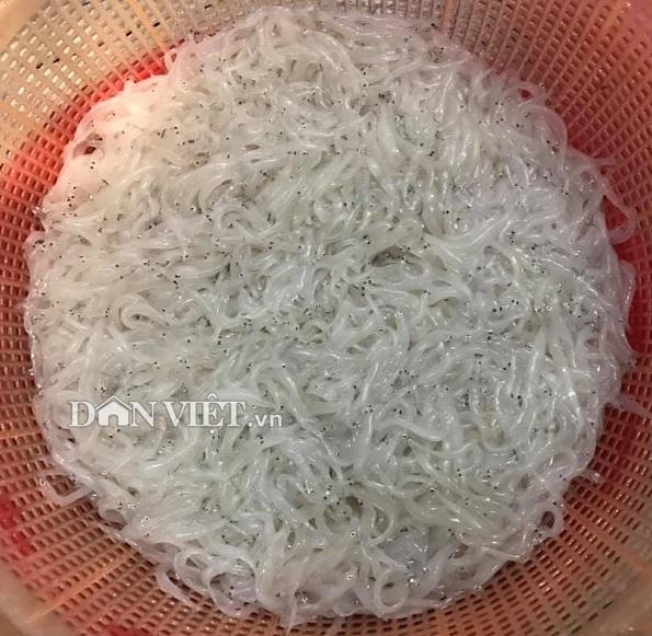 Chảy nước miếng với con đặc sản trắng bạch như thủy tinh-1