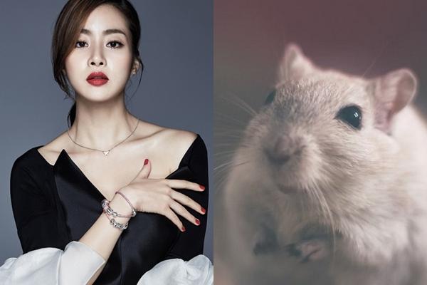 Cuối tuần này: 3 con giáp được Thần Tài chiếu cố, tiền ập xuống đầu, vàng bạc đầy két-1