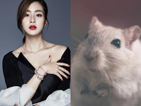 3 con giáp tài lộc bùng nổ vận may đến liên tục, tiền bạc thi nhau kéo tới đầy ví trong 30 ngày tới-3