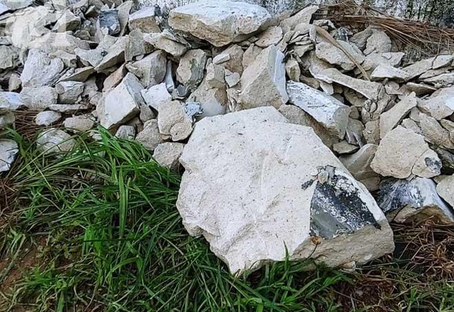 Vụ 2 xác người bị đổ bê tông ở Bình Dương: Một thi thể mất 3 răng, thi thể kia bị ướp trà quấn chặt nilong trước khi giấu xác-3