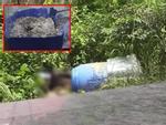 Cảnh sát vào rừng cao su, truy tìm dấu vết để phá án vụ 2 thi thể trong thùng nước đổ bê tông