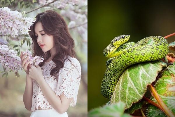 Qua rằm tháng 4 âm lịch: 3 con giáp dễ gặp tai bay vạ gió, lâm cảnh túng thiếu, họa vô đơn chí-2