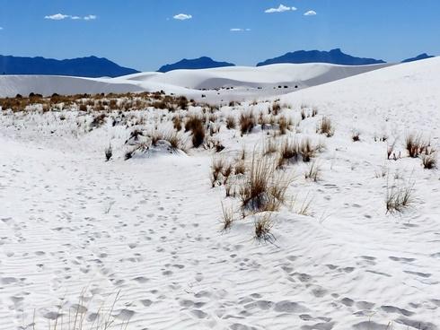 Hàng nghìn hồ nước tự nhiên xanh biếc giữa sa mạc Brazil-1