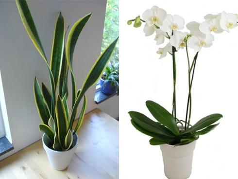 Ông bà xưa nhắc nhở: 6 điều đại kỵ cần tránh trong ngày rằm để cắt bỏ vận xui, gọi tài lộc về-2