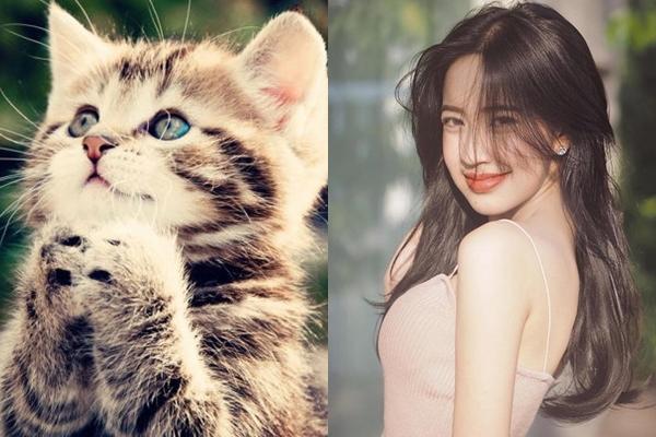 Sách trời đã định đây chính là 3 con giáp có lá số tử vi đỏ chói, có khả năng thành tỉ phú-1